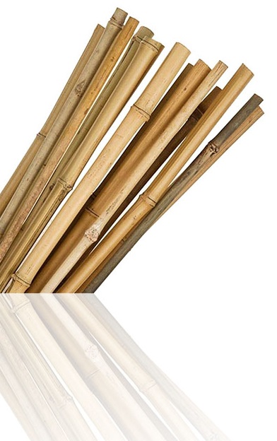 6ft Pack Of 10 Large Thick Bamboo Canes